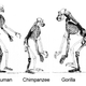 Illustration for article titled 2016 POTUS Candidates and STEM: Christie, Walker, Kasich, Gilmore